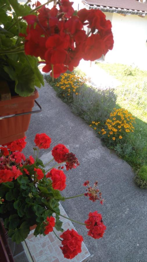 Kuca Za Odmor Panorama Lohovo Appartement *