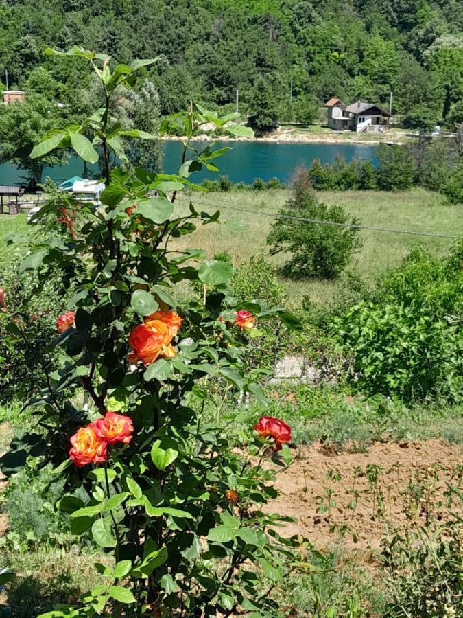 Appartement Kuca Za Odmor Panorama Lohovo Bihać