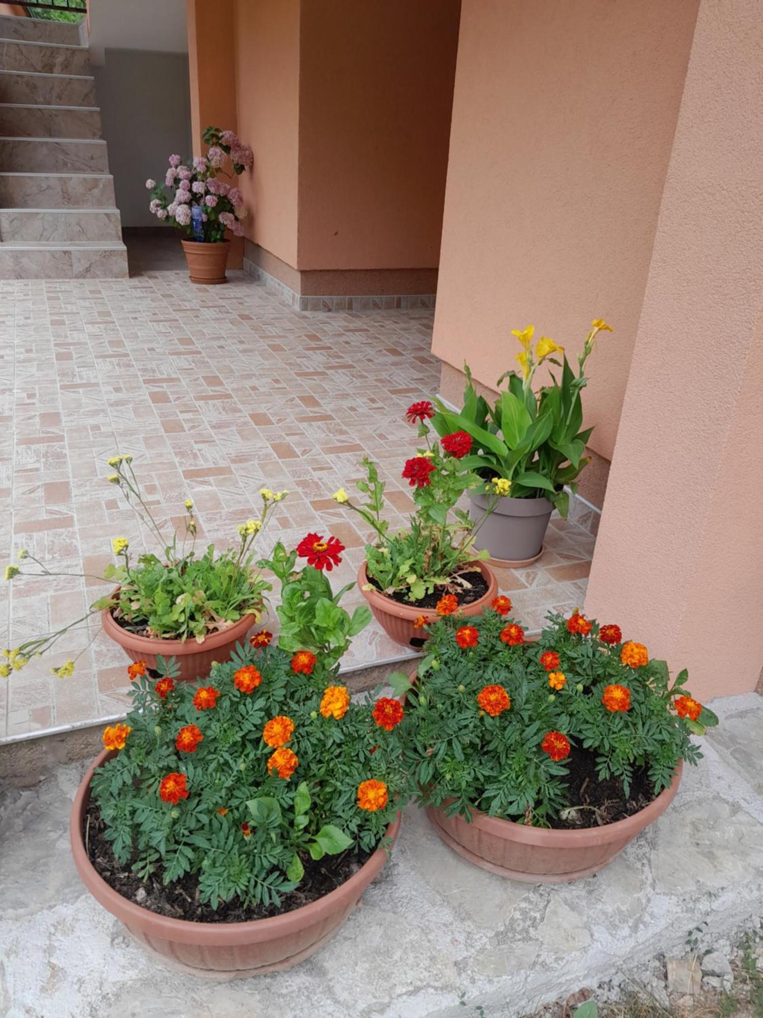 Appartement Kuca Za Odmor Panorama Lohovo *